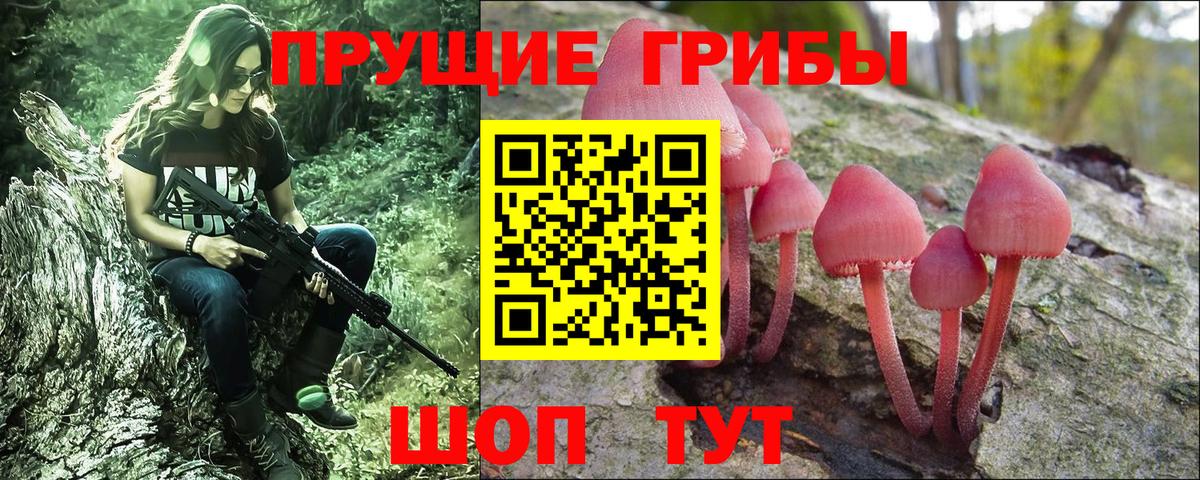 Псилоцибиновые грибы Psilocybine cubensis  Галлюциногенные грибы прущие грибы  Копейск  Вход с VPN 