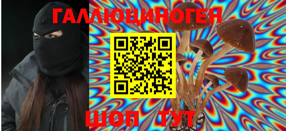 Псилоцибиновые грибы MAGIC MUSHROOMS Копейск